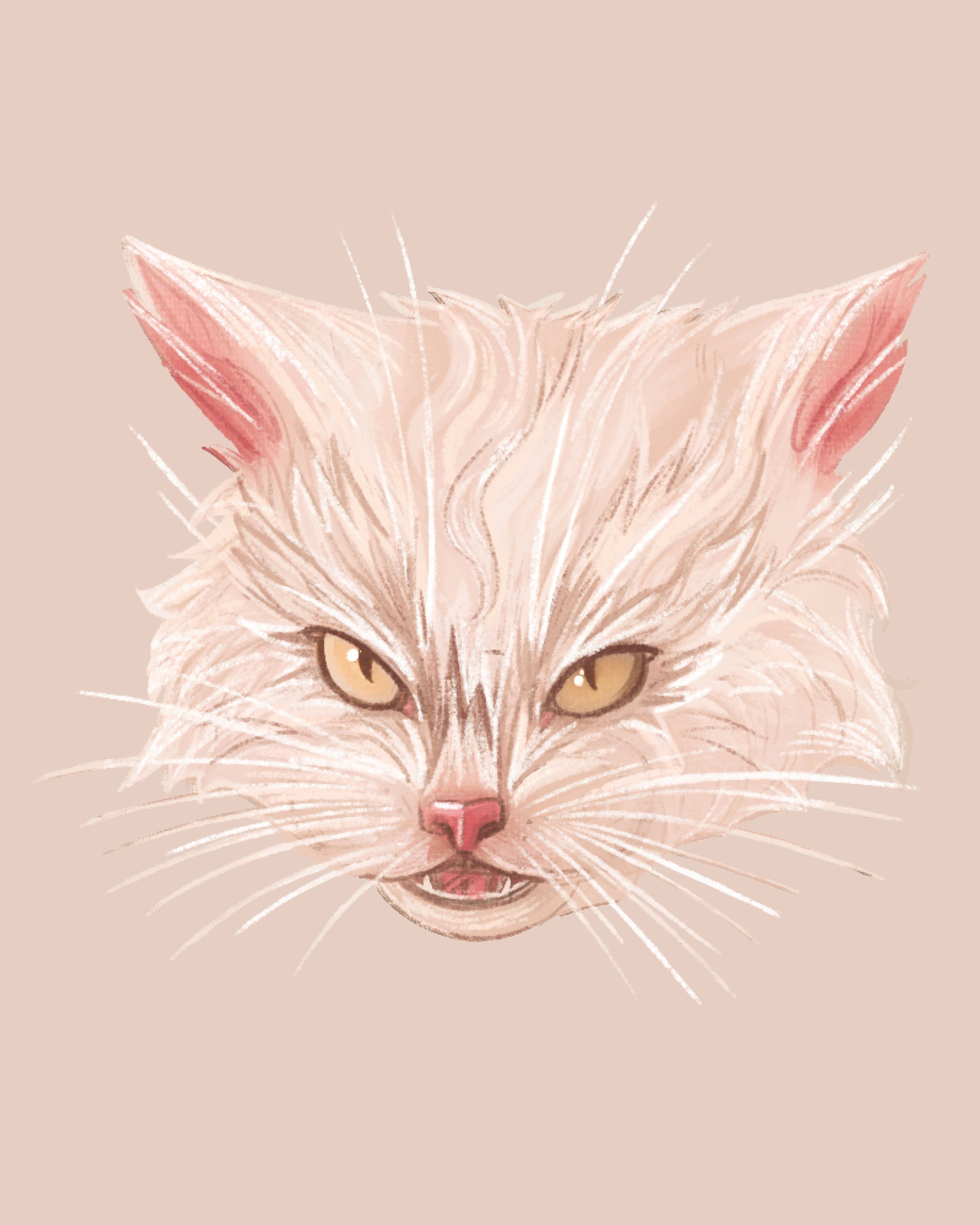 El simbolismo del gato, amuleto protector desde el Antiguo Egipto